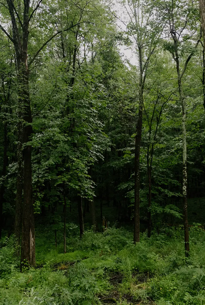 Our philosophy is rooted in three pillars: Art, Home, and Garden​